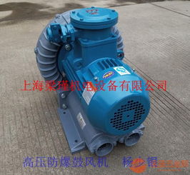 粮油加工专用防爆旋涡式气泵 保障安全的鼓风机技术研究